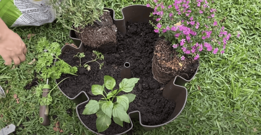 Container Gardening